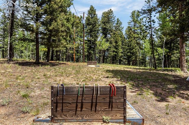 MLS Image for 53  Lake  ,Divide, Colorado