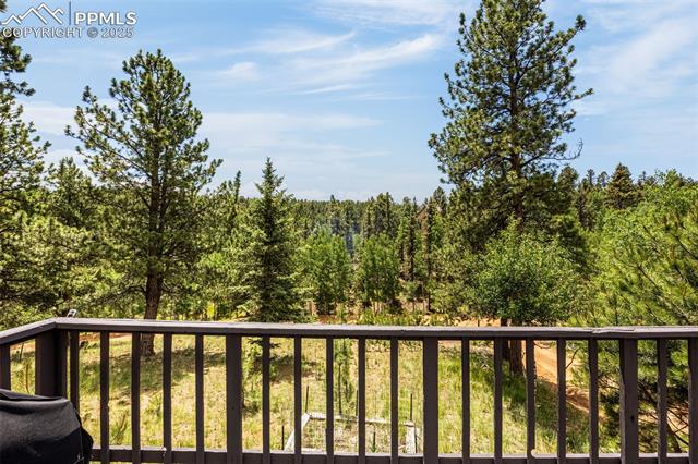 MLS Image for 53  Lake  ,Divide, Colorado