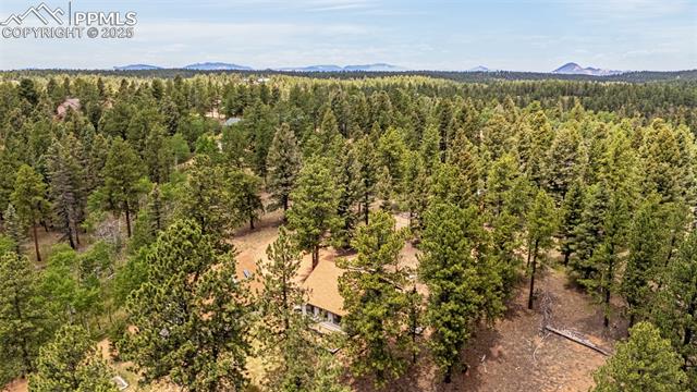MLS Image for 53  Lake  ,Divide, Colorado