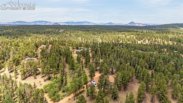 MLS Image for 53  Lake  ,Divide, Colorado