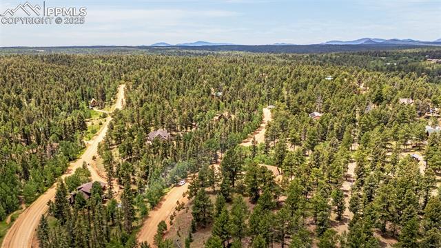 MLS Image for 53  Lake  ,Divide, Colorado