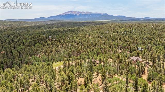 MLS Image for 53  Lake  ,Divide, Colorado