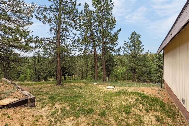 MLS Image for 53  Lake  ,Divide, Colorado