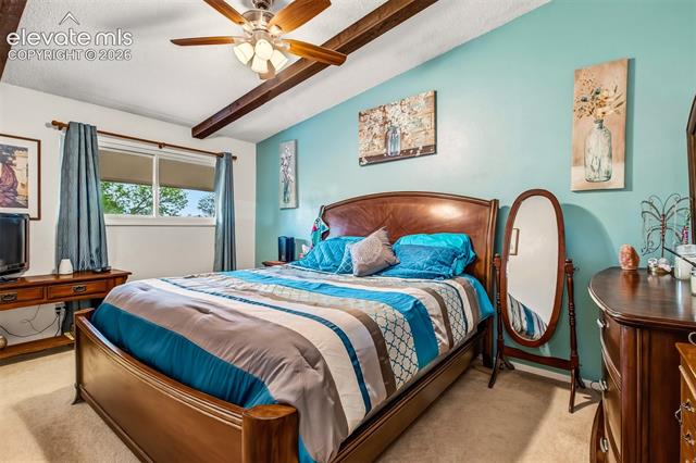 MLS Image for 5024  Quarto   ,Colorado Springs, Colorado