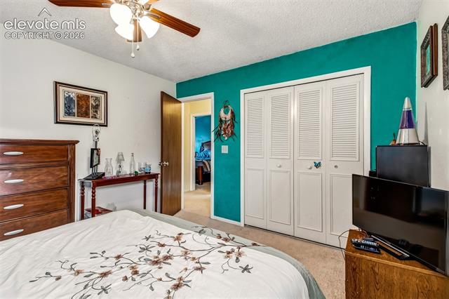 MLS Image for 5024  Quarto   ,Colorado Springs, Colorado