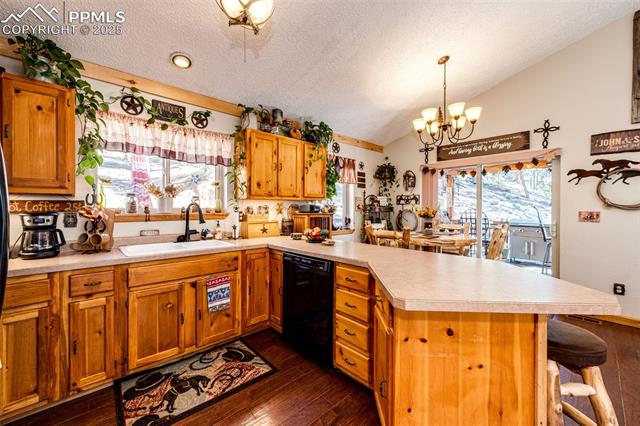 MLS Image for 157  Rudy  ,Woodland Park, Colorado