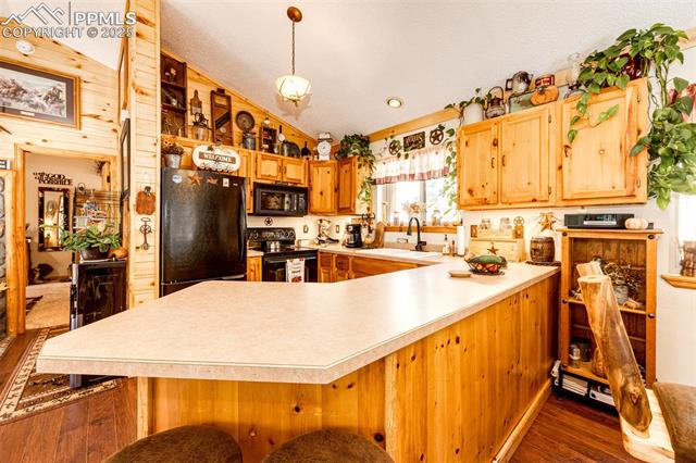 MLS Image for 157  Rudy  ,Woodland Park, Colorado