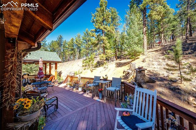 MLS Image for 157  Rudy  ,Woodland Park, Colorado