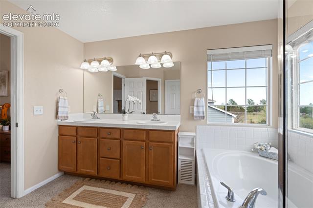 MLS Image for 8740  Royal Melbourne  ,Peyton, Colorado