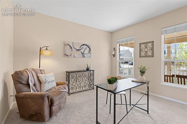 MLS Image for 8740  Royal Melbourne  ,Peyton, Colorado