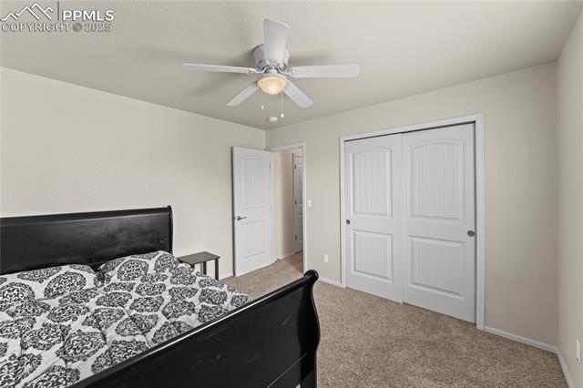 MLS Image for 2425  Sierra Springs  ,Colorado Springs, Colorado