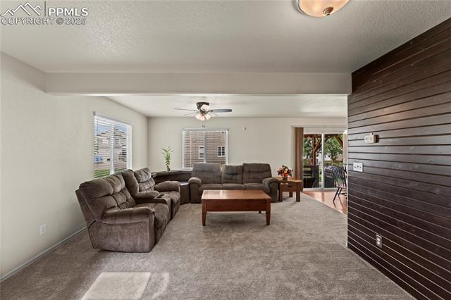 MLS Image for 2425  Sierra Springs  ,Colorado Springs, Colorado