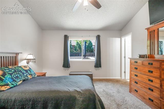 MLS Image for 1643 S Canoe Creek  ,Colorado Springs, Colorado