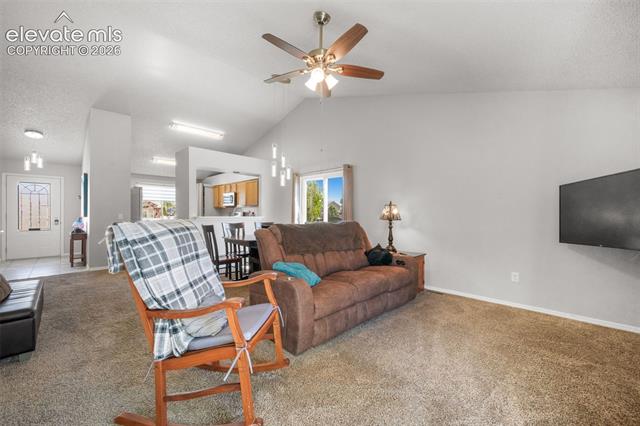 MLS Image for 1643 S Canoe Creek  ,Colorado Springs, Colorado