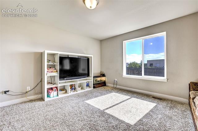 MLS Image for 2971  Namib  ,Colorado Springs, Colorado