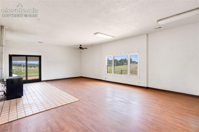 MLS Image for 16685  Roller Coaster  ,Colorado Springs, Colorado