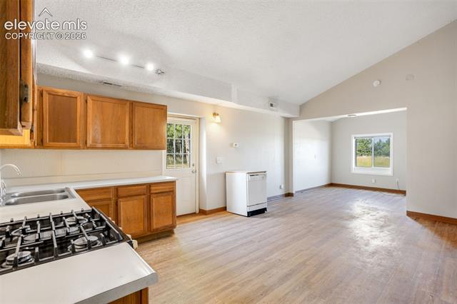 MLS Image for 16685  Roller Coaster  ,Colorado Springs, Colorado