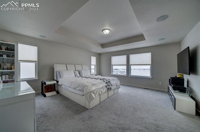 MLS Image for 10388  Elevated  ,Colorado Springs, Colorado