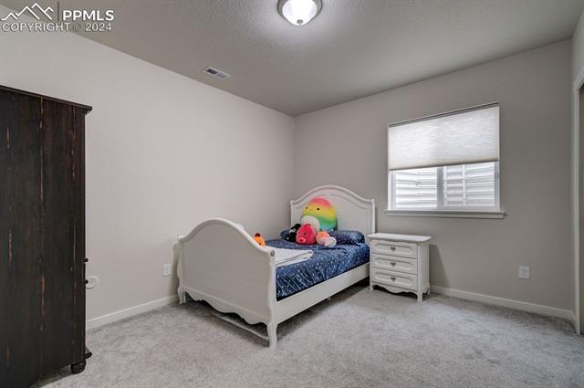 MLS Image for 10388  Elevated  ,Colorado Springs, Colorado