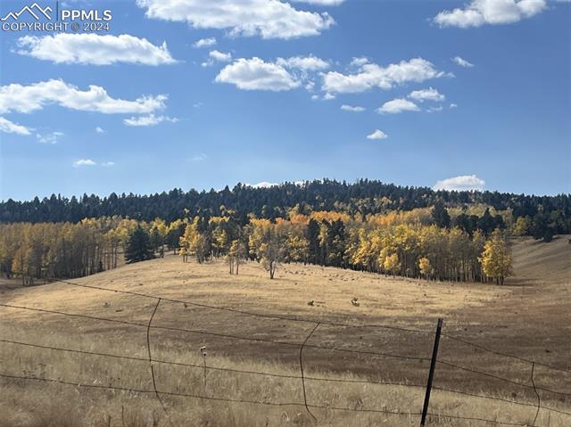 MLS Image for 366 E Longbow  ,Divide, Colorado