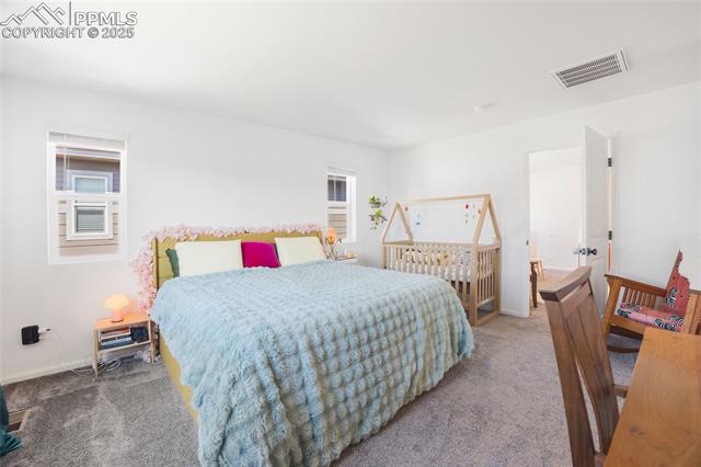 MLS Image for 16423  Mountain Flax  ,Monument, Colorado