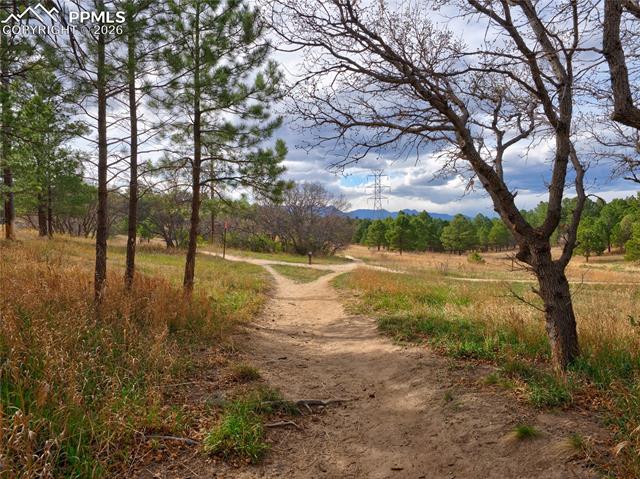 MLS Image for 3465  Rebecca  F ,Colorado Springs, Colorado