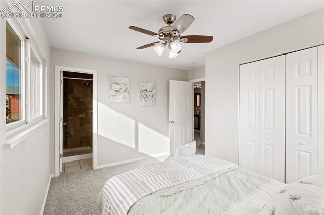 MLS Image for 6825  Galley  ,Colorado Springs, Colorado