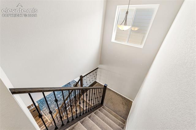 MLS Image for 11132  Anhinga  ,Colorado Springs, Colorado