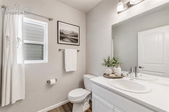 MLS Image for 11132  Anhinga  ,Colorado Springs, Colorado