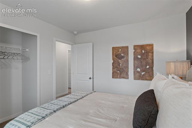 MLS Image for 8531  Blue Feather  ,Colorado Springs, Colorado