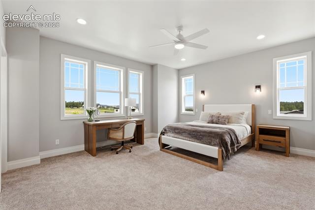 MLS Image for 4136  Pinehurst  ,Colorado Springs, Colorado