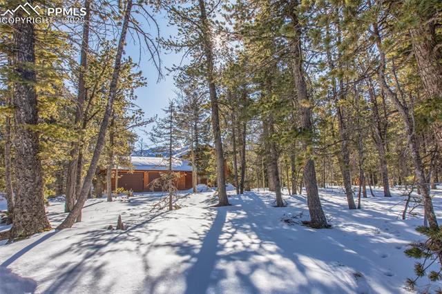 MLS Image for 168  Parkview  ,Woodland Park, Colorado