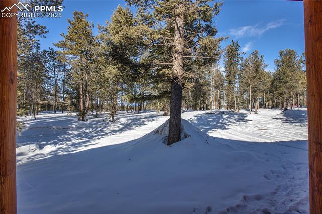 MLS Image for 168  Parkview  ,Woodland Park, Colorado