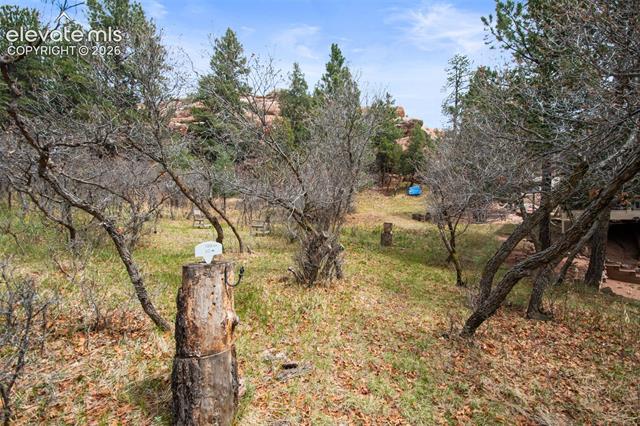 MLS Image for 6323  Pike  ,Larkspur, Colorado