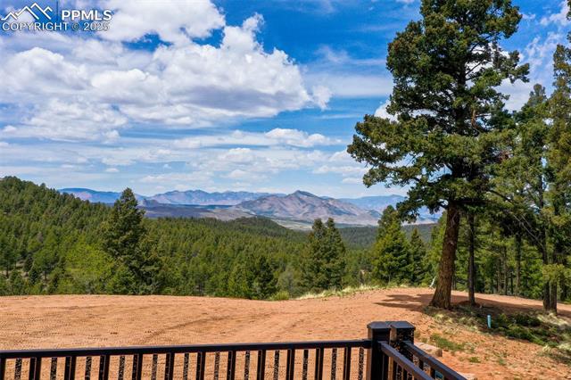 MLS Image for 4101  Spruce  ,Woodland Park, Colorado