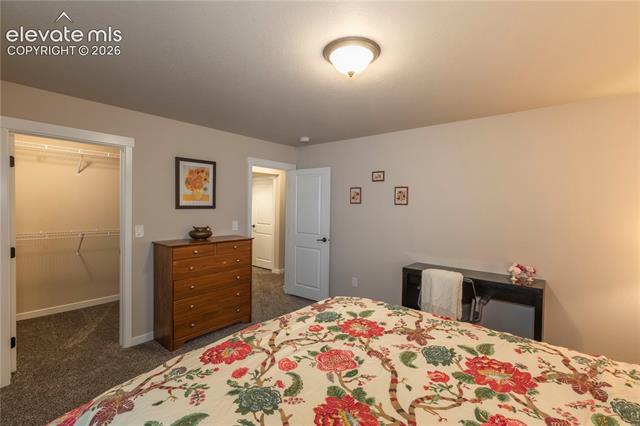 MLS Image for 2752  Pony Club  ,Colorado Springs, Colorado