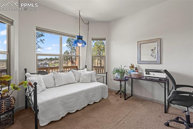 MLS Image for 13025  Brentwood  ,Colorado Springs, Colorado