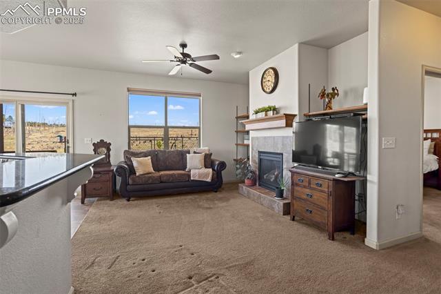 MLS Image for 13025  Brentwood  ,Colorado Springs, Colorado