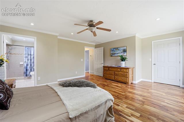 MLS Image for 2535  Norwich  ,Colorado Springs, Colorado