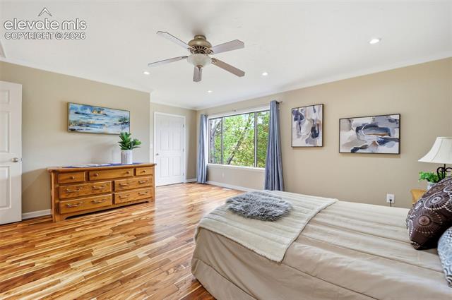 MLS Image for 2535  Norwich  ,Colorado Springs, Colorado