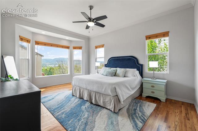 MLS Image for 164  Homeland  ,Colorado Springs, Colorado