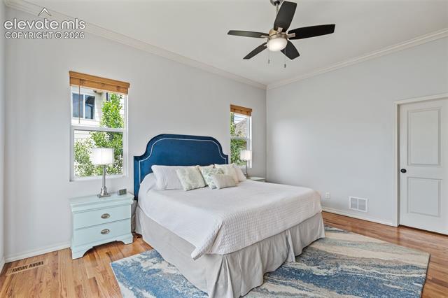 MLS Image for 164  Homeland  ,Colorado Springs, Colorado