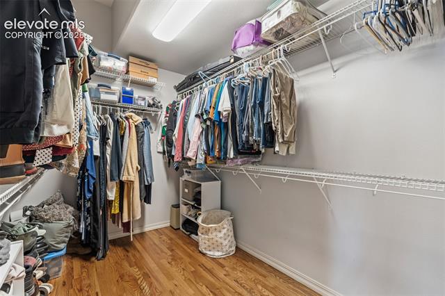 MLS Image for 164  Homeland  ,Colorado Springs, Colorado