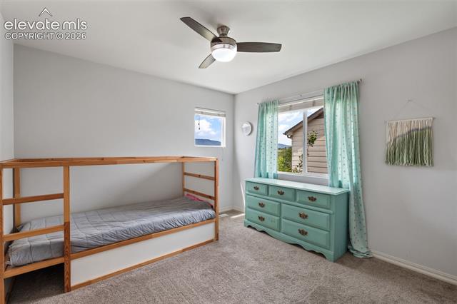 MLS Image for 164  Homeland  ,Colorado Springs, Colorado