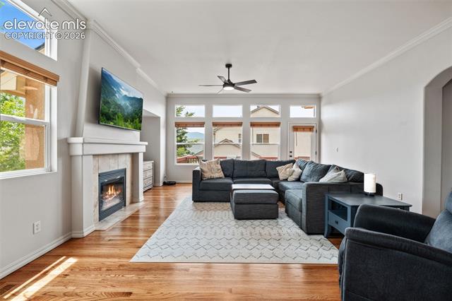 MLS Image for 164  Homeland  ,Colorado Springs, Colorado
