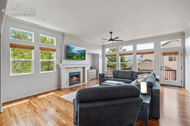 MLS Image for 164  Homeland  ,Colorado Springs, Colorado