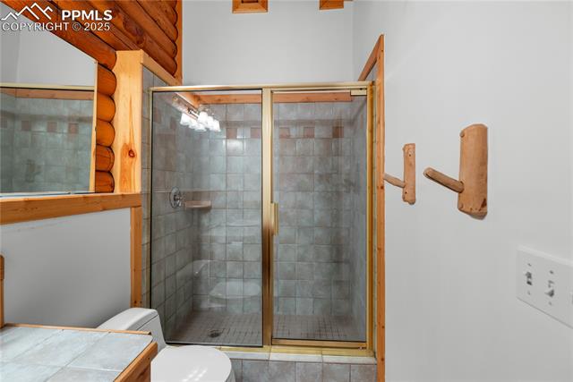 MLS Image for 170  Druid  ,Florissant, Colorado