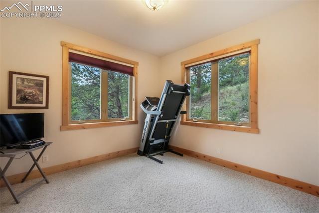 MLS Image for 71  Crestone  ,Florissant, Colorado