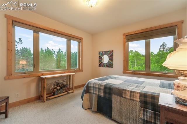 MLS Image for 71  Crestone  ,Florissant, Colorado