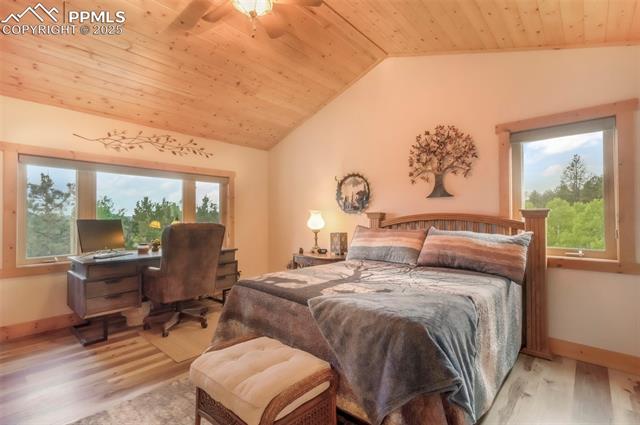 MLS Image for 71  Crestone  ,Florissant, Colorado